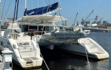 Catana - Catana 50