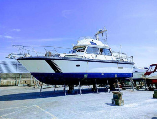 Thumbnail - SEA HAWK SEA HAWK 40