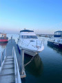 Sealine - SEALINE SEALINE 330 STATESMAN
