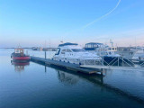 Sealine - SEALINE SEALINE 330 STATESMAN