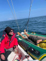  - ASTUS BOAT ASTUS 20.2