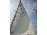Albin Marine - ALBIN MARINE ALBIN VEGA 27