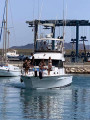  - MEDITERRANEAN MEDITERRANEAN 38
