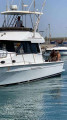  - MEDITERRANEAN MEDITERRANEAN 38