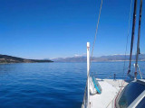 Catana - CATANA CATANA 582