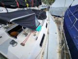 Hunter - HUNTER HUNTER 37