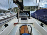 Hunter - HUNTER HUNTER 37