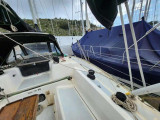 Hunter - HUNTER HUNTER 37