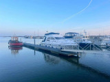 Sealine - SEALINE SEALINE 330 STATESMAN