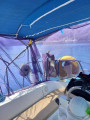 Beneteau - BENETEAU OCEANIS 311 CLIPPER
