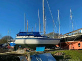  - NEWBRIDGE NEWBRIDGE VIRGO VOYAGER