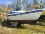  - NEWBRIDGE NEWBRIDGE VIRGO VOYAGER