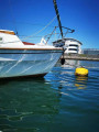 Westerly - WESTERLY MARINE WESTERLY 31 BERWICK