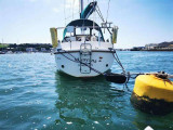 Westerly - WESTERLY MARINE WESTERLY 31 BERWICK