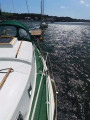 Westerly - WESTERLY MARINE WESTERLY 31 BERWICK