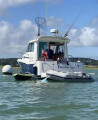 Starfisher - STARFISHER STARFISHER 840 WA