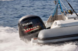  - JOKER BOAT JOKER 580 BARRACUDA