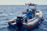  - JOKER BOAT JOKER 650 BARRACUDA