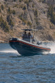  - JOKER BOAT JOKER 650 BARRACUDA