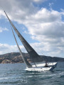  - Multiplast Daysailer judel/vrolijk 36