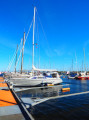 Dehler Yachtbau - Dehler 31 Top
