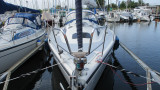 Dehler Yachtbau - Dehler 31 Top