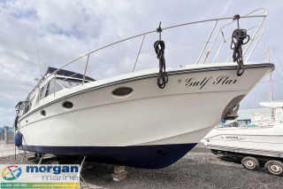 Thumbnail - Birchwood TS 44