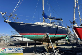 Thumbnail - Hustler  30