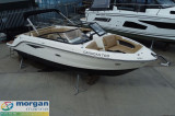 Sea Ray - Sea Ray 250 SLX