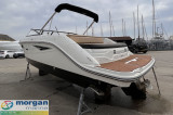 Sea Ray - Sea Ray 250 SLX