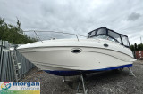 Thumbnail - Rinker fiesta  Vee 250