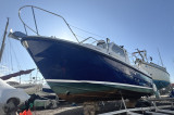  - Orkney  Day Angler 24