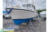 Aqua Star - Aquastar  27 aft cabin