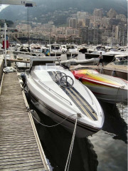 Thumbnail - Monte Carlo 46