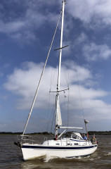 Thumbnail - Hallberg Rassy 37