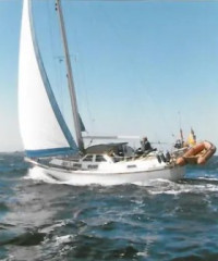 Thumbnail - Colvic Watson 33