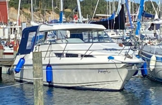 Thumbnail - 290 Sun Cruiser