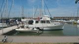 American Marine - Grand Banks 32