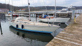 Thumbnail - Luffe 37