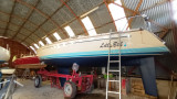 Luffe Yachts - Luffe 37