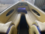 Essex - Bowrider Fury 25