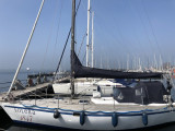 Thumbnail - Feltz Aluminium One Off