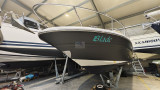 Sea Ray - 295 Ss