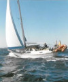 Thumbnail - Colvic Watson 33