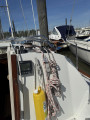 Mallard - Ecume De Mer