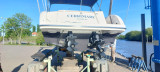 Cerrimarine - Cerrimarine 28