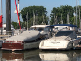 Cerrimarine - Cerrimarine 28