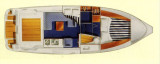 Nimbus - 310 Coupe