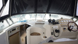 Cruisers - Cruisers 3175 Rogue