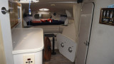 Cruisers - Cruisers 3175 Rogue